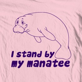 Stand by Manatee