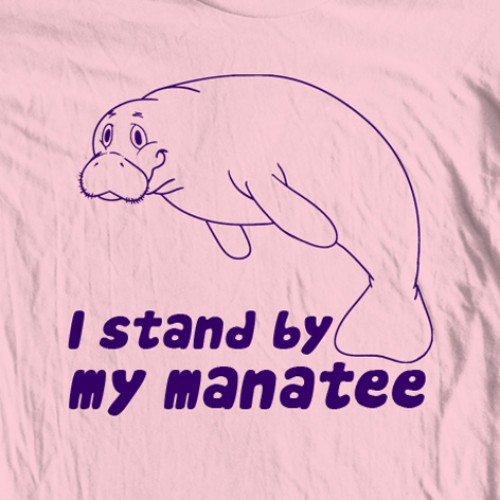 Stand by Manatee