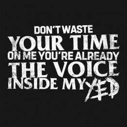 Blink 182: Inside My Yed