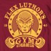 Flex Luthor Gym