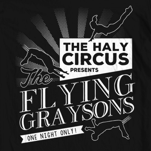 Batman The Flying Graysons
