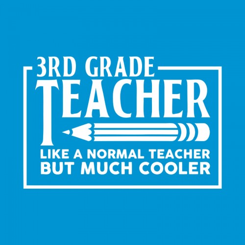 3rd Grade Teacher