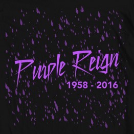 Prince Purple Reign Tribute