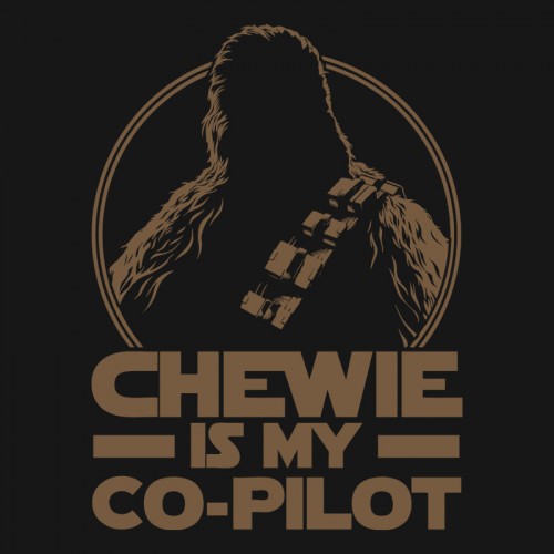 Chewie is My Co-Pilot