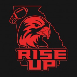 Falcons Rise Up