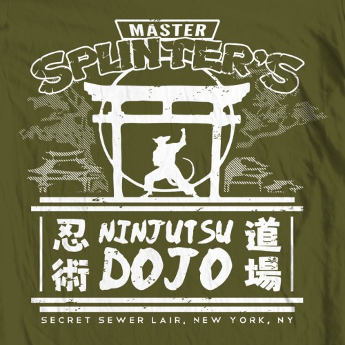 TMNT Splinter's Dojo